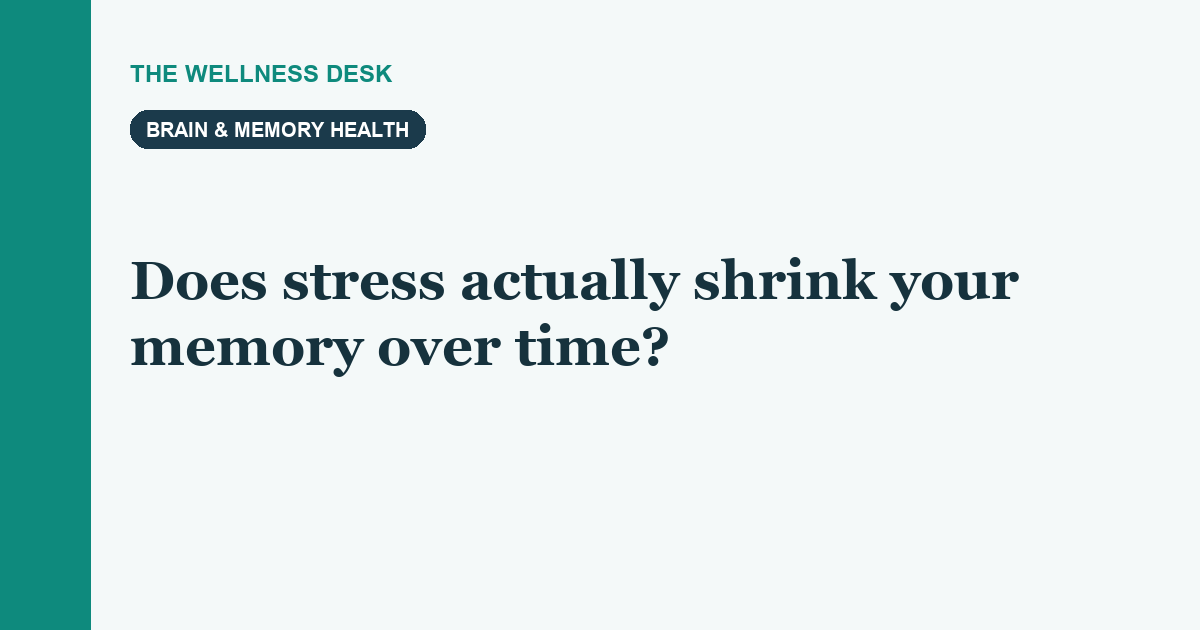 Does stress actually shrink your memory over time?